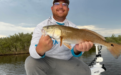 Winter Reds Lesson 3